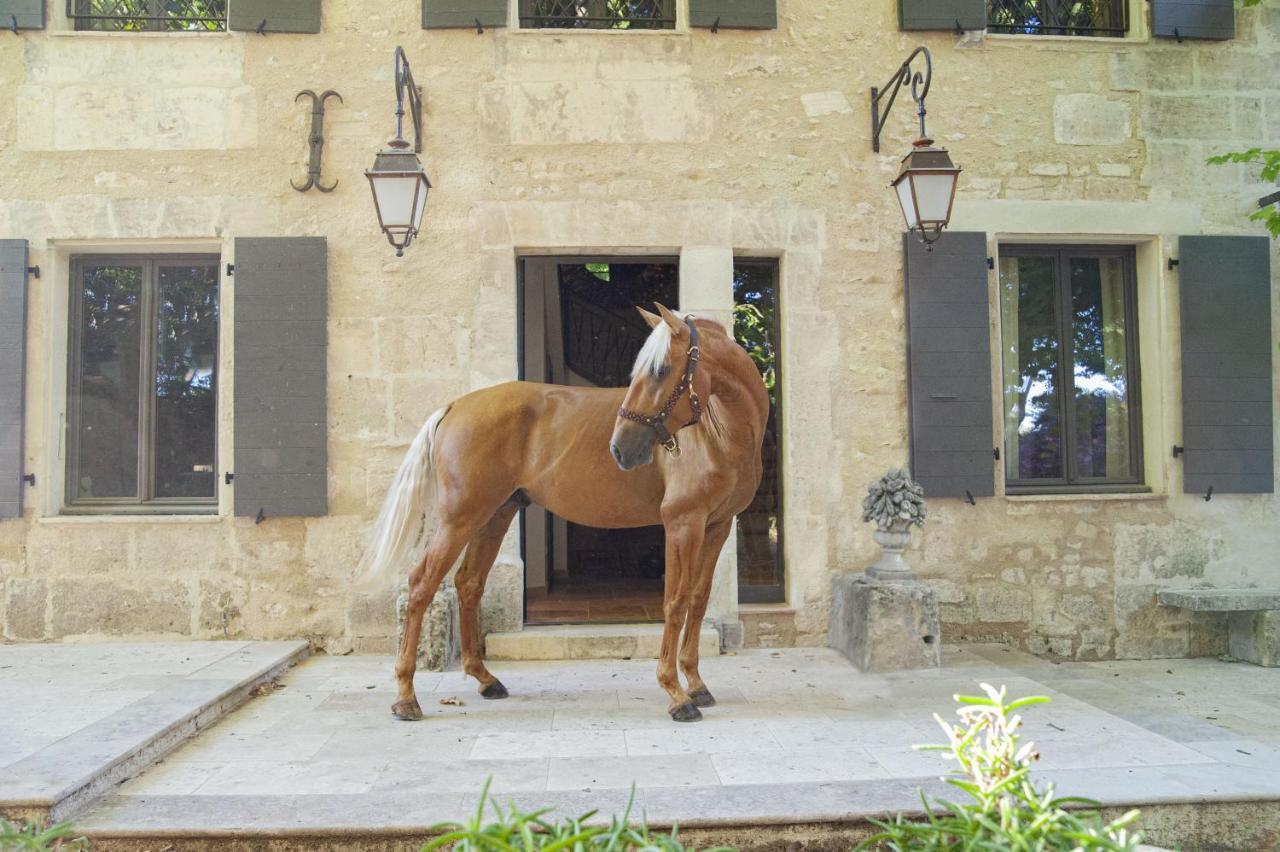 Domaine Cap Rubis Bed & Breakfast Paradou Eksteriør bilde